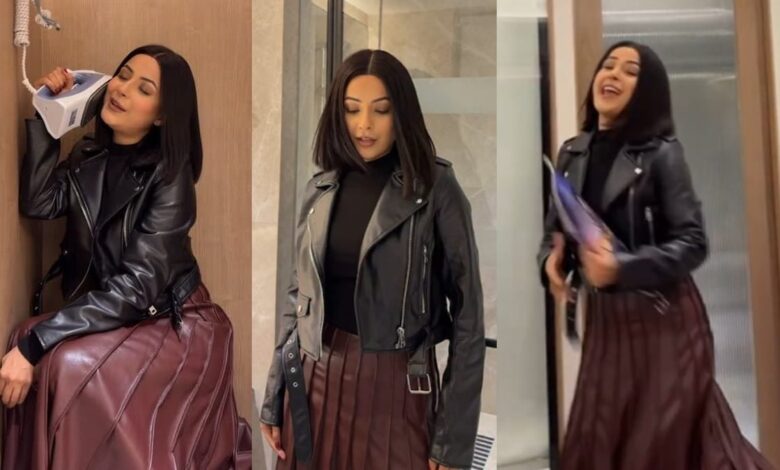 भारत-पाक तनाव के बीच शहनाज गिल ने पाकिस्तानी एक्ट्रेस हानिया आमिर के गाने पर किया डांस, हुआ वायरल