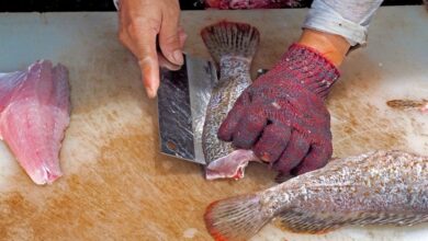 मांसाहारी लोग इन मछलियों से रहें सावधान....नहीं तो जा सकती है जान!