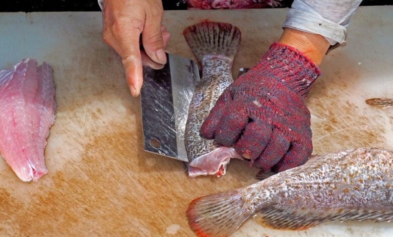 मांसाहारी लोग इन मछलियों से रहें सावधान....नहीं तो जा सकती है जान!