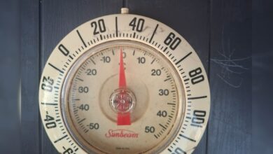 माउंट आबू में सर्दी का कहर, तापमान जमाव बिंदु के करीब, देखें वीडियो