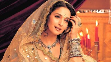 माधुरी दीक्षित से US में अनजान थे पड़ोसी, फैंस की गाड़ियों को देख होते थे भौचक्के, कह देते थे 'पुलिस बुलाएं क्या?'