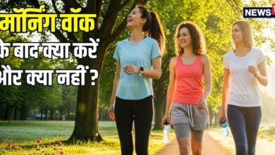 मॉर्निंग वॉक के बाद अगर ये 5 काम करेंगे, तभी आपकी सेहत को लाभ होगा, वरना... खराब कर लेंगे सुबह की सैर