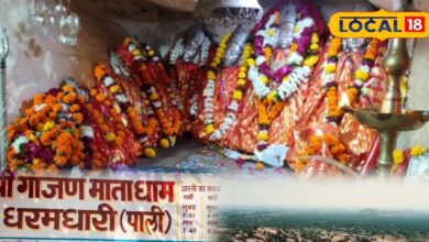 यमराज भी कांपे उस 'गर्जना' से... जब भक्त की पुकार पर पत्थर फाड़कर प्रकट हुईं माता, आज भी दिखता है अदृश्य पैंथर