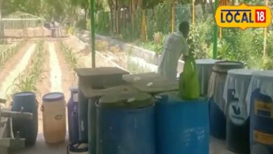 यूरिया समेत रासायनिक खाद की जगह किसान अपना सकते हैं ये देशी खाद, खुद कर सकते हैं खेत में तैयार