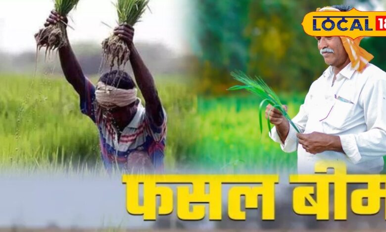 रबी फसल बीमा नहीं कराया तो कट सकता है पैसा! 24 दिसंबर से पहले यह काम नहीं किया तो होगा नुकसान