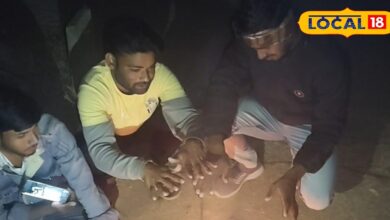 राजस्थान का मौसम: कड़ाके की सर्दी से कांपा राजस्थान, उड़ानें-ट्रेनें प्रभावित, 31 दिसंबर को बारिश के आसार