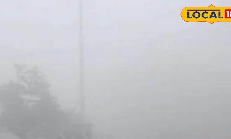 राजस्थान का मौसम: नए साल से पहले राजस्थान में सर्दी का अटैक! बीकानेर-जयपुर सहित इन जिलों में कोहरा और बारिश का डबल अलर्ट