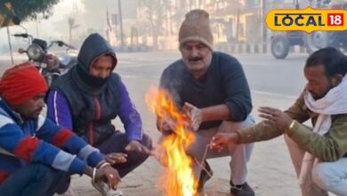 राजस्थान का मौसम: राजस्थान में ठंडी हवाओं का कहर, शेखावाटी में पाला जमने से बढ़ी सर्दी, इन जिलों में कोल्ड-वेव अलर्ट