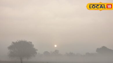 राजस्थान का मौसम: राजस्थान में बढ़ी सर्दी! शेखावाटी में तापमान 3 डिग्री तक गिरा, चुरू-नागौर सहित इन जिलों में येलो अलर्ट