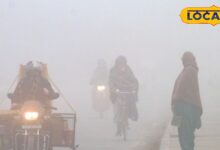 राजस्थान का मौसम: राजस्थान में सर्दी का सितम! अलवर-फतेहपुर में पारा 5° से नीचे, भरतपुर-करौली में कोहरे का अलर्ट