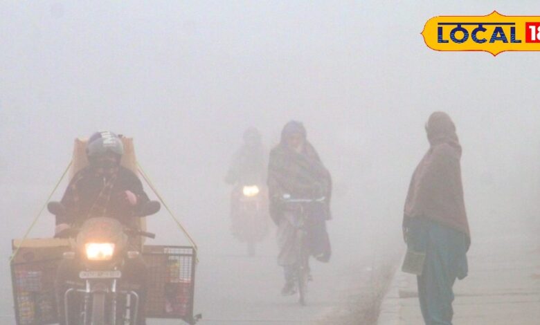 राजस्थान का मौसम: राजस्थान में सर्दी का सितम! अलवर-फतेहपुर में पारा 5° से नीचे, भरतपुर-करौली में कोहरे का अलर्ट