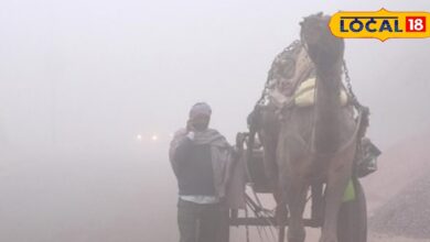 राजस्थान का मौसम: सर्द हवाओं ने बढ़ाई कंपकंपी! सीकर, झुंझुनूं और चूरू में ठंड चरम पर, भिवाड़ी की हवा हुई जहरीली