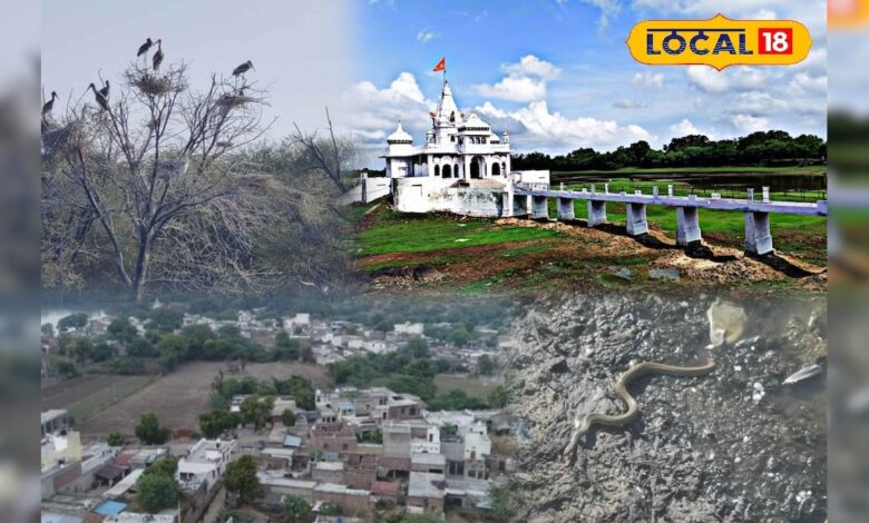 राजस्थान गए और यहां नहीं घूमे? सर्दियों में सैलानियों की पहली पसंद, एक बार गए तो बार-बार जाएंगे