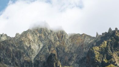 राजस्थान में अरावली विवाद गहराया, पहाड़ियों को बचाने की मुहिम तेज, आंदोलन जारी