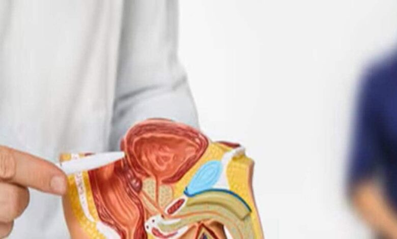 रात में जागना और बार-बार पेशाब आना... पुरुषों को शरीर क्या संकेत दे रहा है? जानिए इस पर क्या कह रहे डॉक्टर