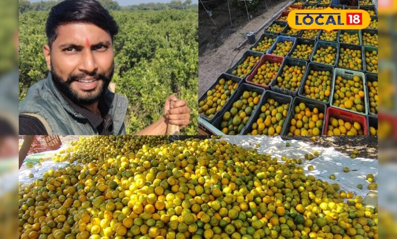रायल पाटीदार ने अपनाई हाईटेक तकनीक, 25 एकड़ लगाया संतरे का बाग, अब लाखों में कमा रहे मुनाफा