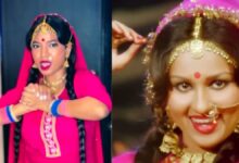 रीना रॉय के गाने पर लड़की ने किया जोरदार डांस, 'जा रहे जा ओ हरजाई' पर नागिन सी बलखाईं