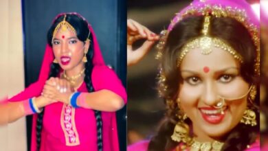 रीना रॉय के गाने पर लड़की ने किया जोरदार डांस, 'जा रहे जा ओ हरजाई' पर नागिन सी बलखाईं