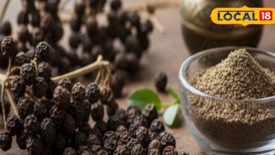 रोजाना एक चुटकी से पाएं बेहतर पाचन, वजन कंट्रोल और सर्दी-जुकाम से राहत, बच्चों के लिए भी फायदेमंद - Uttar Pradesh News