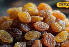 लिवर साफ, हड्डियां मजबूत! सुबह-सुबह खाली पेट किशमिश के जादुई लाभ, ये छोटी सी आदत रखेगी निरोग - Uttar Pradesh News