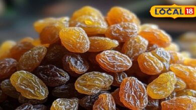 लिवर साफ, हड्डियां मजबूत! सुबह-सुबह खाली पेट किशमिश के जादुई लाभ, ये छोटी सी आदत रखेगी निरोग - Uttar Pradesh News
