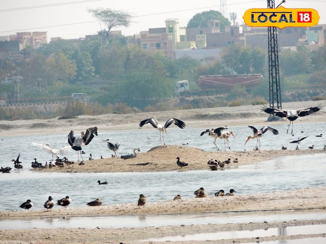 लूणकरणसर साल्ट लेक वन्यजीव गणना, रामसर स्थल हेतु सहयोग आमंत्रण