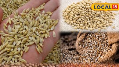 वजन घटाने के लिए रोटी नहीं अनाज बदलें | Best Desi Grains for Weight Loss in Winter