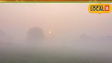 शेखावाटी में लौटेगी कड़ाके की सर्दी! सीमावर्ती जिलों में घना कोहरा, अलर्ट जारी