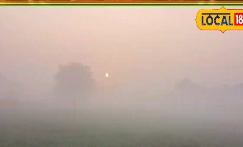 शेखावाटी में लौटेगी कड़ाके की सर्दी! सीमावर्ती जिलों में घना कोहरा, अलर्ट जारी