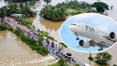 श्रीलंका त्रासदी पर पाकिस्‍तान की एयरस्‍पेस वाली नौटंकी, भारत ने अक्‍ल लगा दी ठिकाने