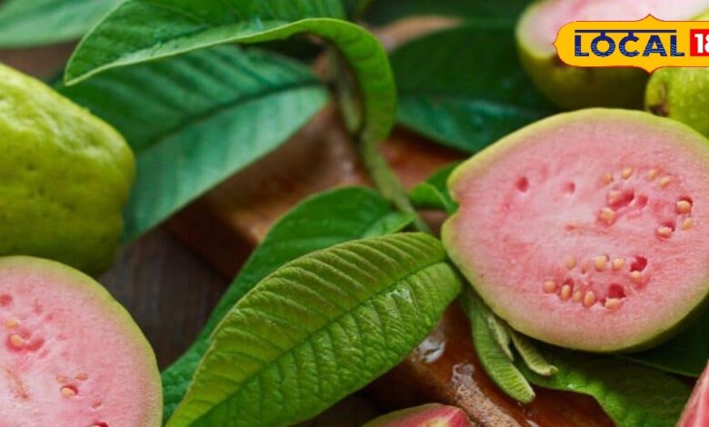 सर्दियों में इम्यूनिटी, पाचन, दिल और स्किन चारों का ख्याल रखे एक ही फल!जानें अमरूद खाने के गजब के फायदे - Madhya Pradesh News