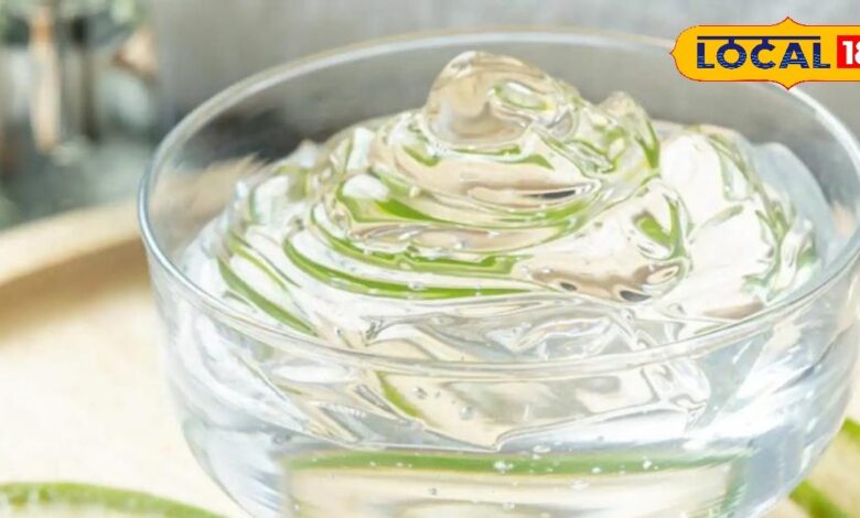 सर्दियों में एलोवेरा को ऐसे बनाएं अपनी डेली रूटीन का हिस्सा, पूरे शरीर के लिए लाभकारी, जानिए फायदे