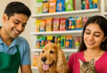 सर्दियों में ऐसे रखें पालतू जानवर का ख्याल, ठंड से नहीं होगा आपके पेट्स का बुरा हाल