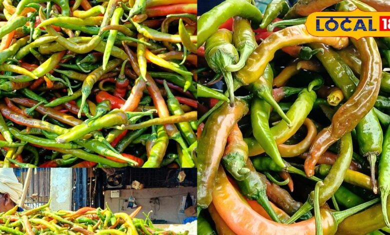 सर्दियों में भरतपुर की मंडी में लौटी लाल हरी और लंबी अचार वाली मिर्चीया, अब घर-घर में शुरू हुई स्वादिष्ट अचार की तैयारी 
