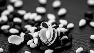 सर्दियों में सफेद तिल या काला तिल कौन है ज्यादा फायदेमंद जानें फायदे.