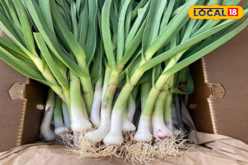 लहसुन का साग 