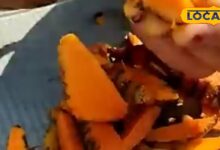 सिर्फ मसाला नहीं, विंध्य की हल्दी है दिमाग-तनाव-दर्द की रामबाण दवा! एक साथ ठीक करती इतने रोग - Madhya Pradesh News