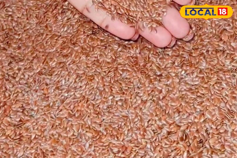 अलसी के बीज