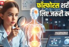 हड्डियों में सीमेंट का काम करता है फॉस्फोरस! क्या आप रोज ले रहे हैं यह मिनरल? ज्यादातर लोग इसे कर जाते अनदेखा