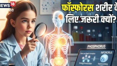 हड्डियों में सीमेंट का काम करता है फॉस्फोरस! क्या आप रोज ले रहे हैं यह मिनरल? ज्यादातर लोग इसे कर जाते अनदेखा