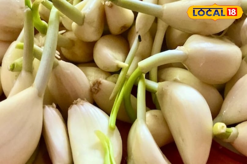 लहसुन लहसुन