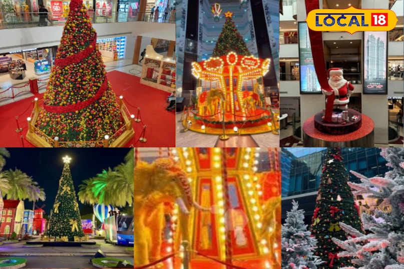 क्रिसमस 2025 के लिए हैदराबाद शहर पूरी तरह से सज चुका है। शहर के बड़े मॉल्स और होटल अपनी शानदार सजावट और विशाल क्रिसमस ट्री के लिए जाने जाते हैं। हैदराबाद के टॉप 5 स्थान जहाँ आप इस साल का सबसे भव्य क्रिसमस ट्री इंस्टॉलेशन देख सकते हैं