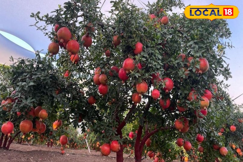 पुरुषों की हेल्थ में सहायक 