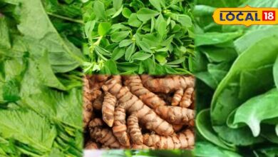 सर्दियों में सेहत का खजाना है ये देसी सब्जियां, इम्युनिटी बढ़ाकर रखती है शरीर को फिट, जोड़ें के दर्द में भी है कारगर