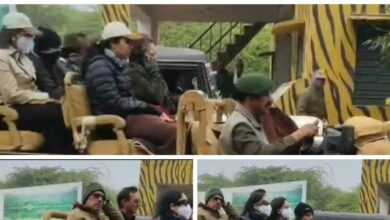 रणथंभौर नेशनल पार्क से आई प्रियंका गांधी की पहली फोटो, खुली जिप्सी दिखी पूरी फैमिली