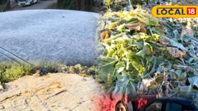 न्यू ईयर की बूंदाबांदी के बाद माउंट आबू में जमा पारा, जीरो डिग्री पर जमी ओस, देखिए रिपोर्ट