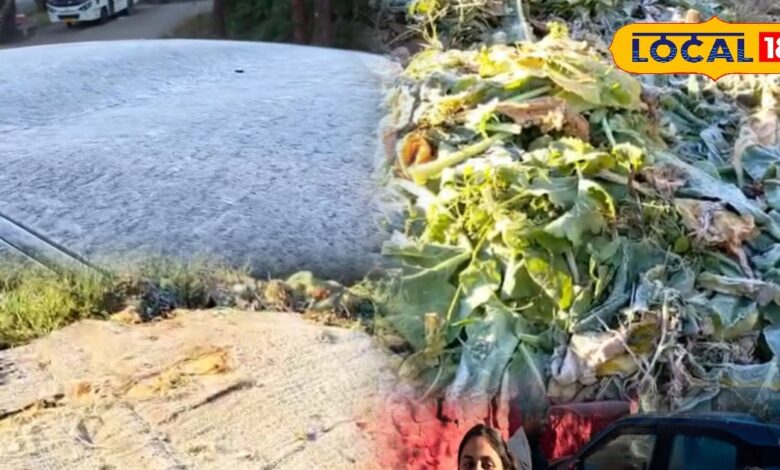 न्यू ईयर की बूंदाबांदी के बाद माउंट आबू में जमा पारा, जीरो डिग्री पर जमी ओस, देखिए रिपोर्ट