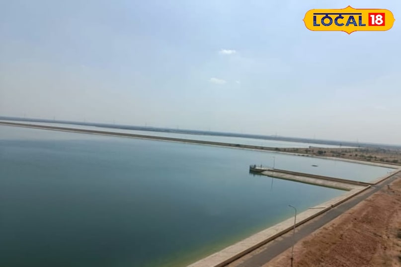 वॉटर प्लांट वॉटर प्लांट