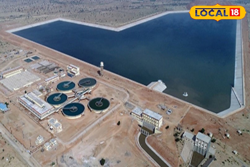 वॉटर प्लांट वॉटर प्लांट