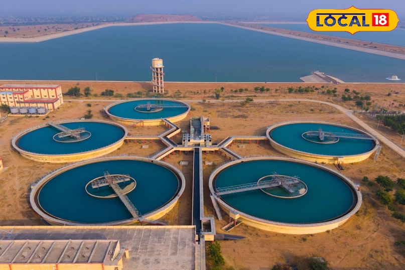 वॉटर प्लांट वॉटर प्लांट